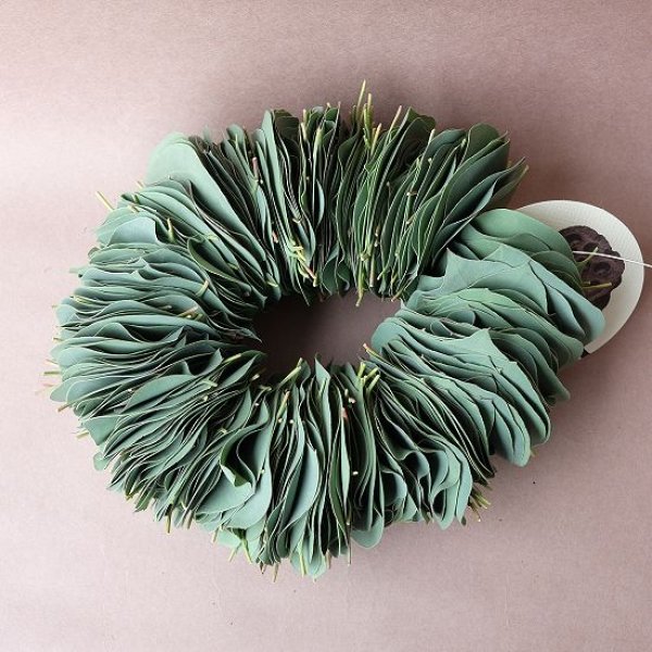 画像1: Dry plants for decor ユーカリリーフリース (1)