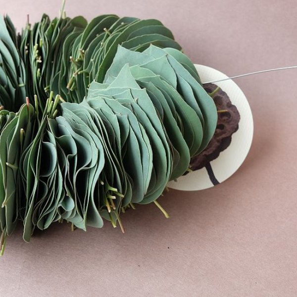 画像3: Dry plants for decor ユーカリリーフリース (3)