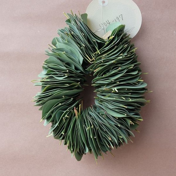 画像5: Dry plants for decor ユーカリリーフリース (5)