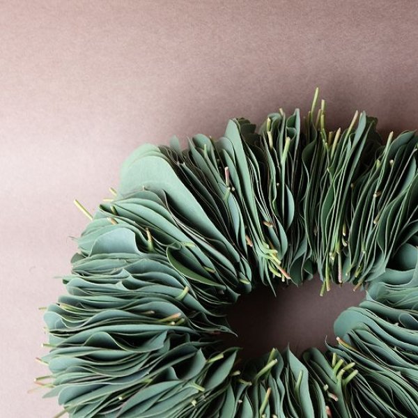 画像4: Dry plants for decor ユーカリリーフリース (4)