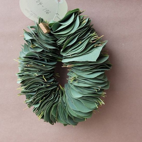 画像5: Dry plants for decor ユーカリリーフリース (5)