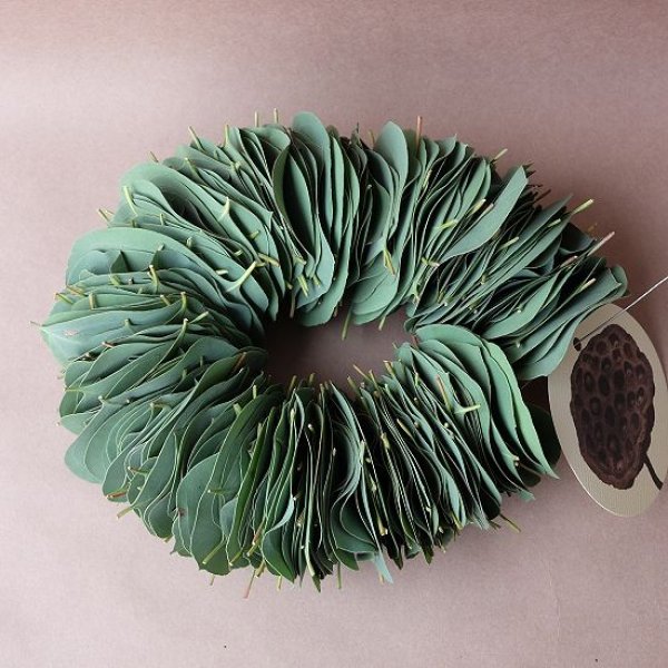 画像1: Dry plants for decor ユーカリリーフリース (1)