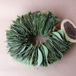 画像1: Dry plants for decor ユーカリリーフリース (1)