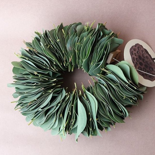 画像1: Dry plants for decor ユーカリリーフリース (1)