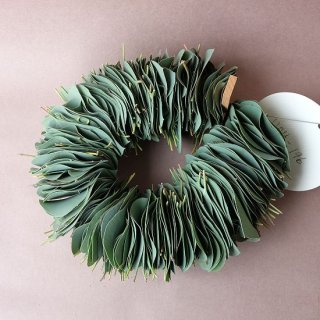 Dry plants for decor ユーカリ（ビミナリス）シンプルスワッグ - 流木