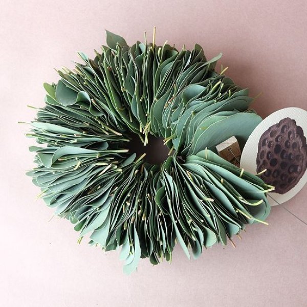 画像1: Dry plants for decor ユーカリリーフリース (1)