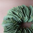 画像4: Dry plants for decor ユーカリリーフリース (4)