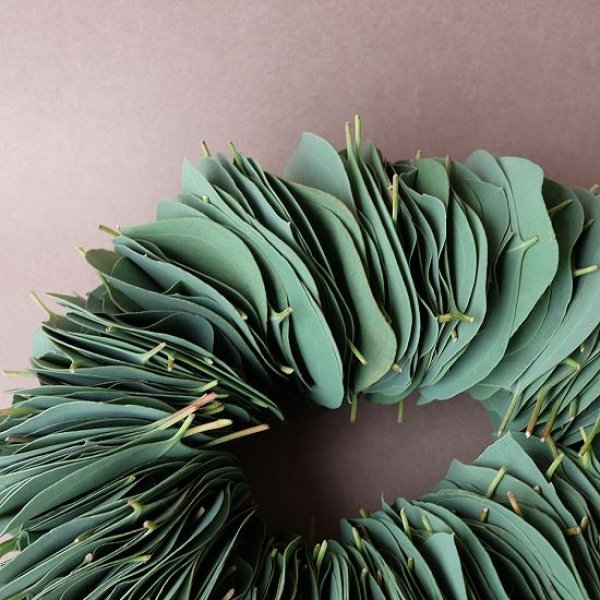 画像4: Dry plants for decor ユーカリリーフリース (4)