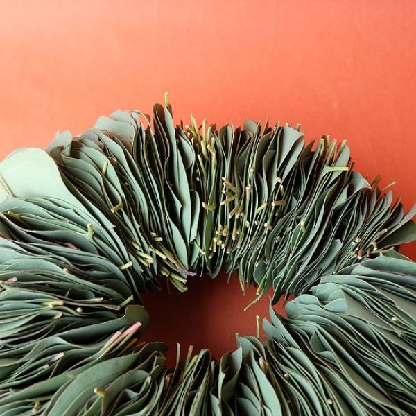 画像4: Dry plants for decor ユーカリリーフリース (4)