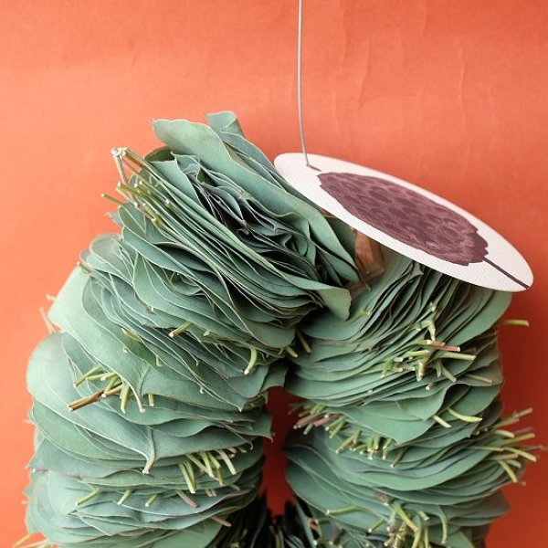 画像6: Dry plants for decor ユーカリリーフリース (6)