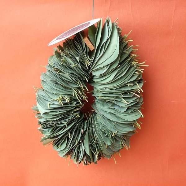 画像7: Dry plants for decor ユーカリリーフリース (7)