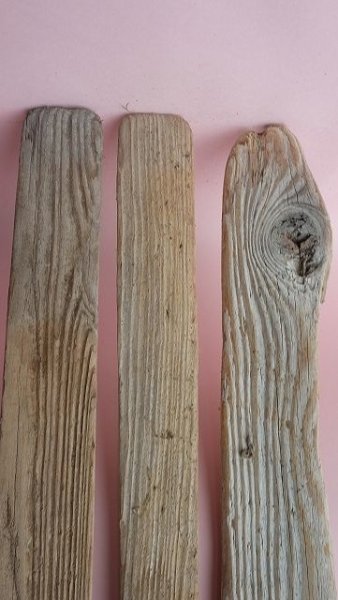 画像5: 板流木セット (5)