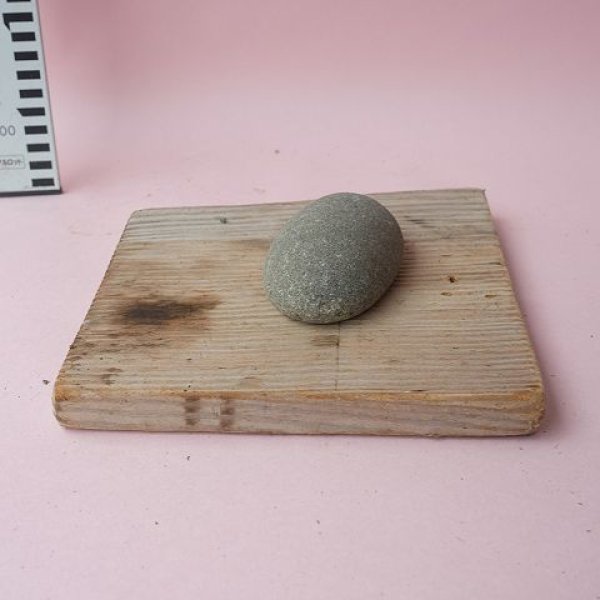 画像5: 板流木 (5)
