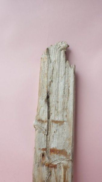 画像4: 板流木 (4)