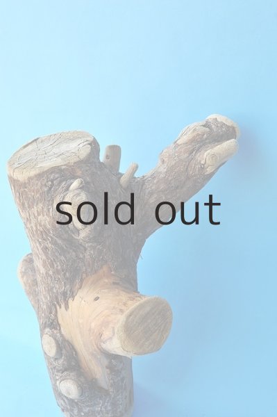 画像3: 幹流木 (3)