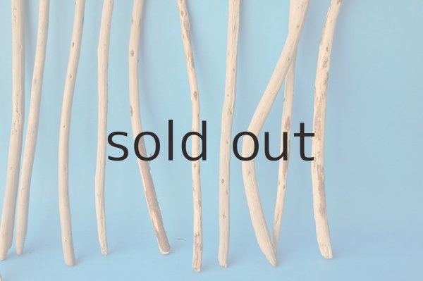 画像3: 棒流木セット (3)