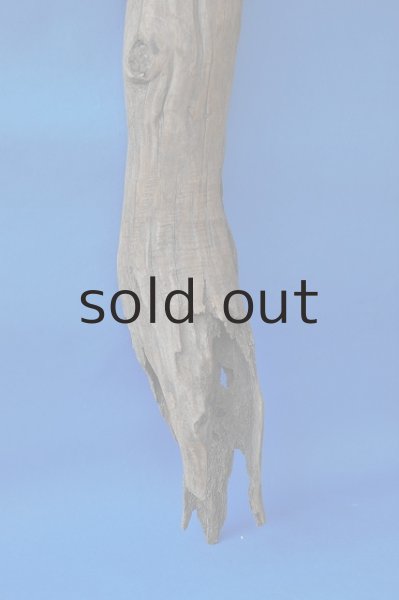 画像2: 大型 変形 (2)