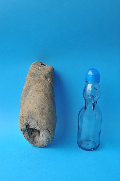 画像2: 変形流木 (2)