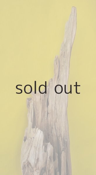 画像3: 大型 変形 (3)