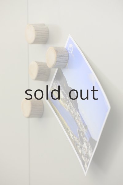 画像3: 流木マグネット( サークル4個セット）（強力磁石2000ガウス使用） (3)