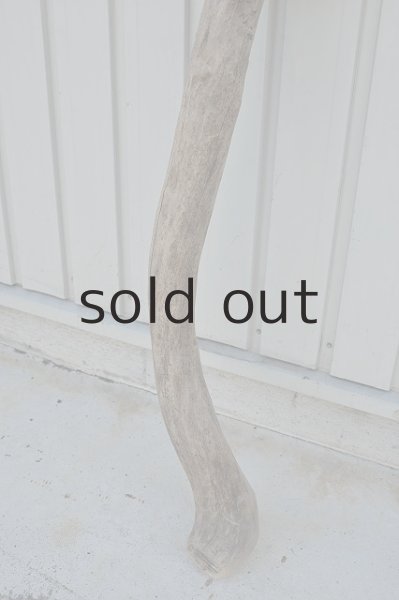 画像2: 大型 幹 (2)