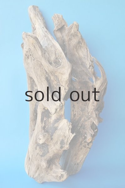 画像2: 大型 変形 (2)