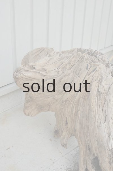 画像3: 大型 根 (3)