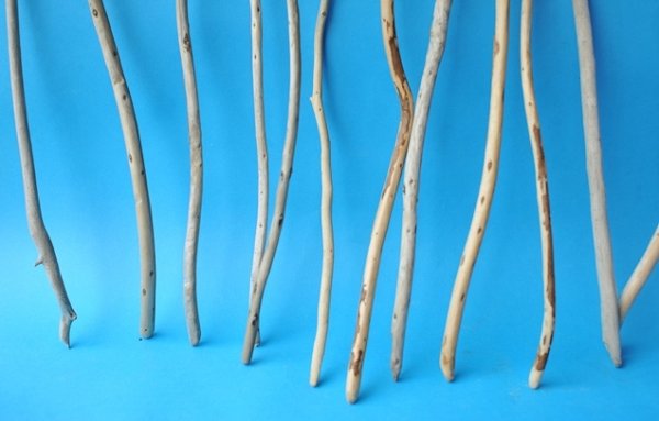画像2: 棒流木セット (2)