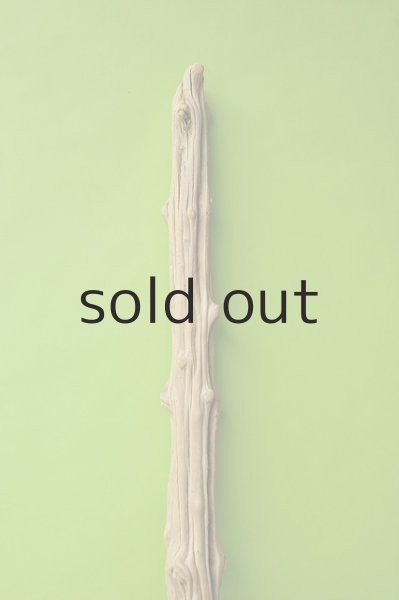 画像4: 幹流木 (4)