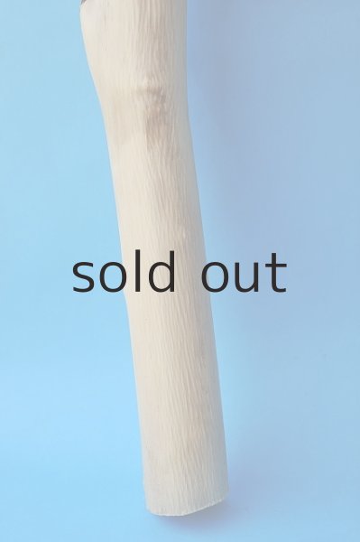 画像2: 幹流木 (2)