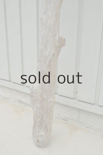 画像3: 大型 変形幹 (3)