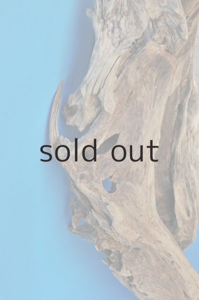 画像4: 大型 変形 (4)