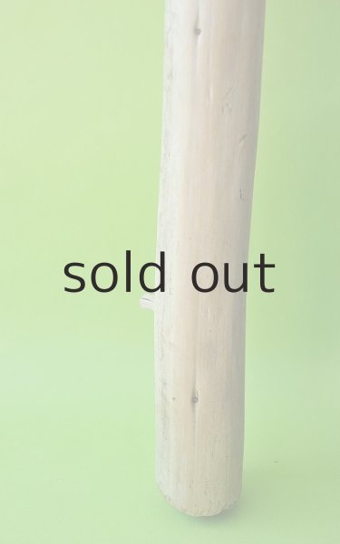 画像2: 幹流木 (2)