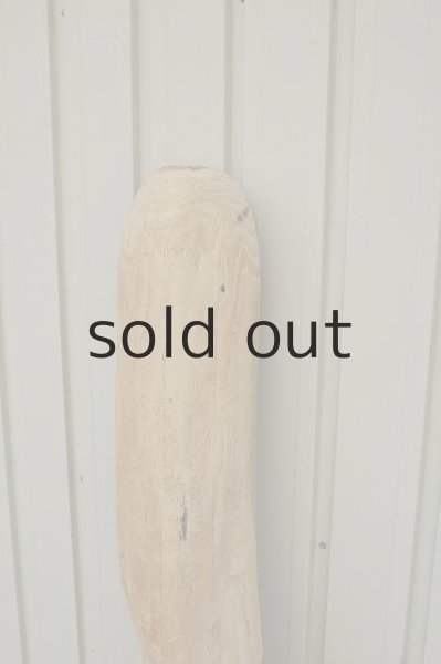 画像3: 大型 幹 (3)