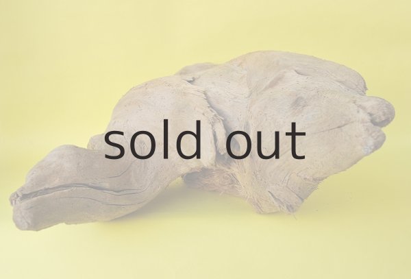 画像4: 大型 変形 (4)