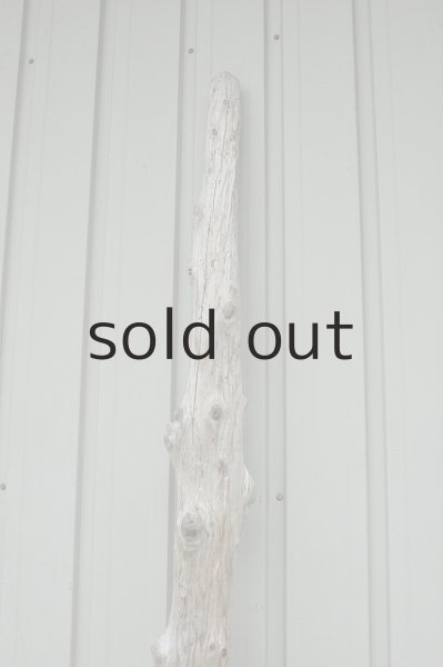 画像5: 大型 変形幹 (5)