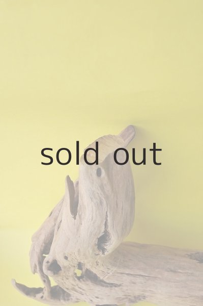 画像2: 流木根 (2)