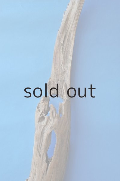 画像3: 大型 変形 (3)