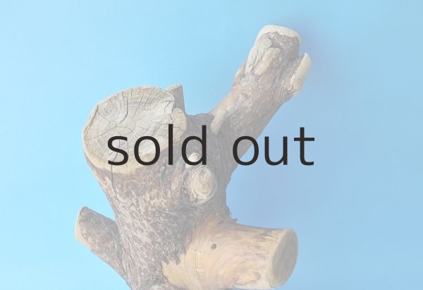 画像2: 幹流木 (2)