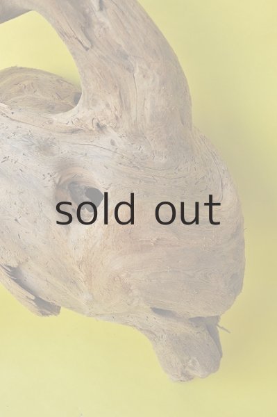 画像3: 大型 変形 (3)