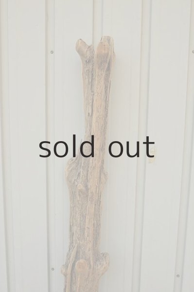 画像3: 大型 幹 (3)