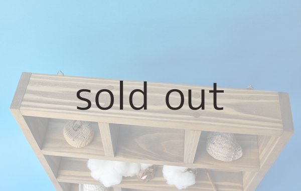 画像2: 壁掛け用ディスプレイボックス (2)