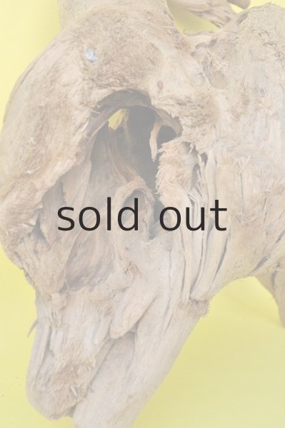 画像5: 大型 変形 (5)