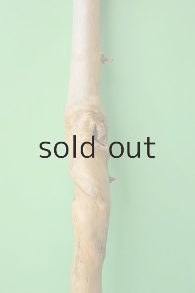 画像3: 幹流木 (3)