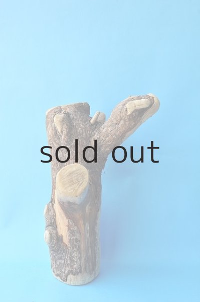 画像4: 幹流木 (4)