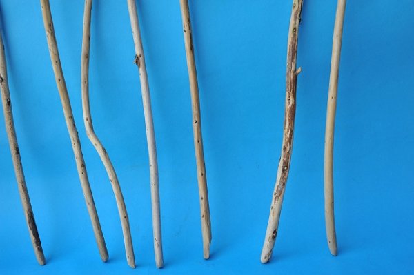 画像3: 棒流木セット (3)