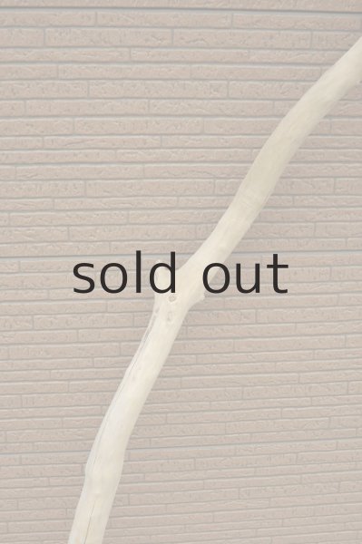 画像4: 大型 変形幹 (4)