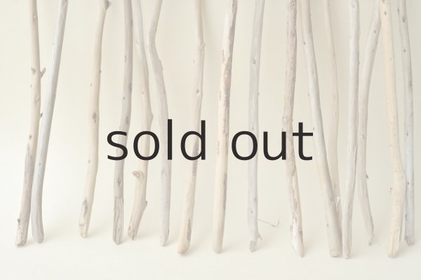 画像2: 棒流木セット (2)