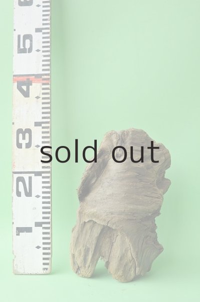 画像3: 変形流木 (3)