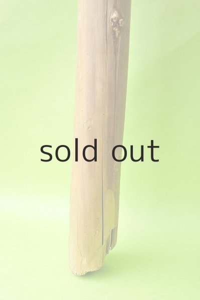 画像2: 幹流木 (2)